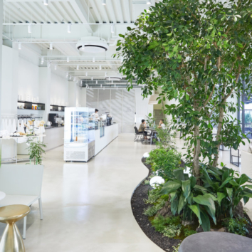 지속 가능한 미래, 어반런드렛